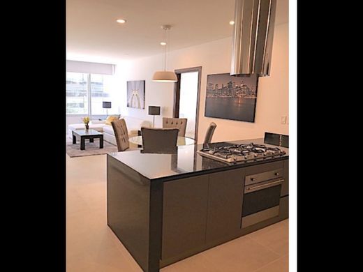 Apartment in Mexico City, The Federal District