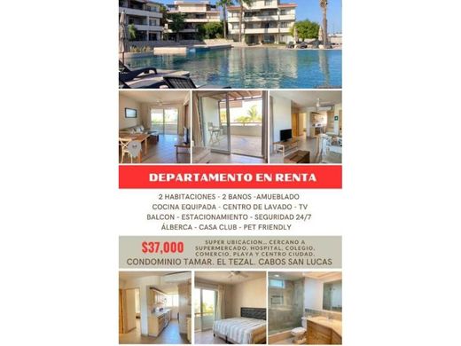 Apartment / Etagenwohnung in Los Cabos, Baja California Sur
