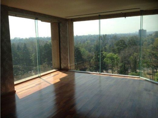 Apartment in Miguel Hidalgo, The Federal District