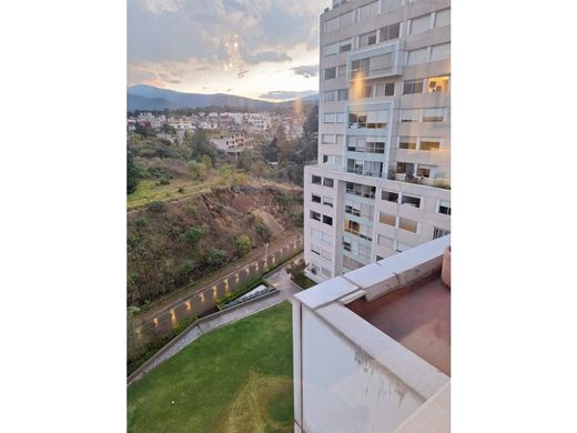 Квартира, Delegación Cuajimalpa de Morelos, Cuajimalpa de Morelos