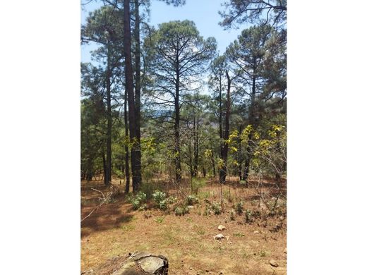 토지 / Morelia, Estado de Michoacán de Ocampo