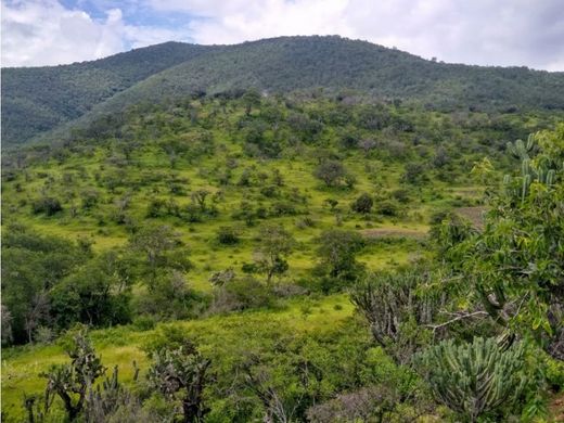 Farmhouse in San Martín Chalchicuautla, San Luis Potosí