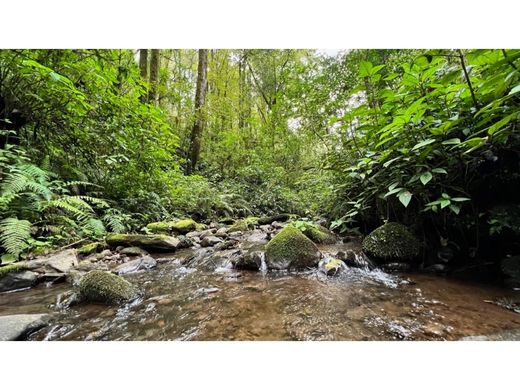 أرض ﻓﻲ Valle de Bravo, Estado de México