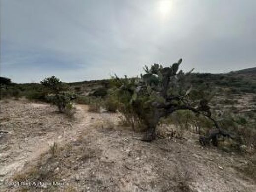 地皮  Tepeji del Río de Ocampo, 伊達爾戈州