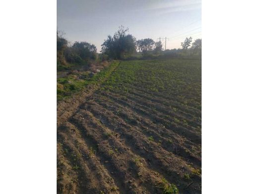 Arsa Huaquechula, Estado de Puebla