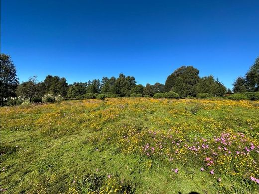 Land in Valle de Bravo, Estado de México