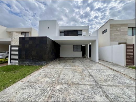 호화 저택 / Mérida, Estado de Yucatán