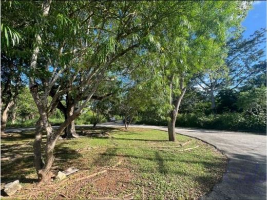 ‏קרקע ב  Mérida, Estado de Yucatán