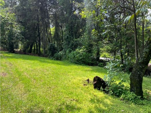 ‏קרקע ב  Valle de Bravo, Estado de México