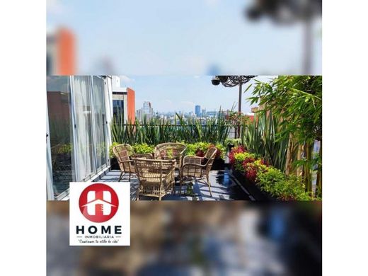 Penthouse in Colonia Benito Juárez, Villa de Tezontepec