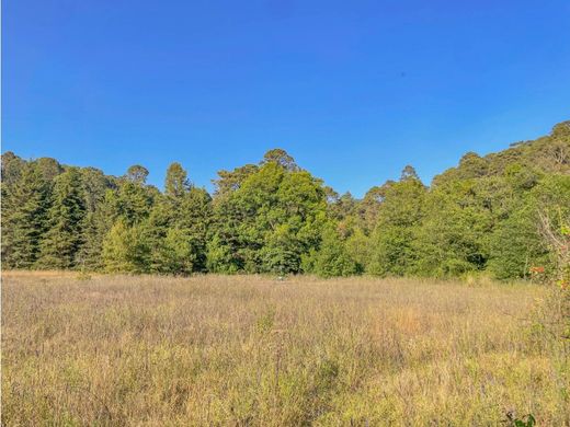 ‏קרקע ב  Valle de Bravo, Estado de México