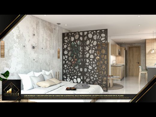 阁楼  普拉亞德爾卡曼
, Solidaridad