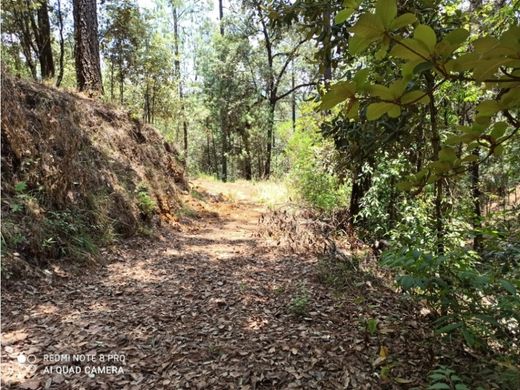 Terreno en Valle de Bravo, Estado de México