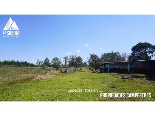 Farmhouse in Huauchinango, Puebla