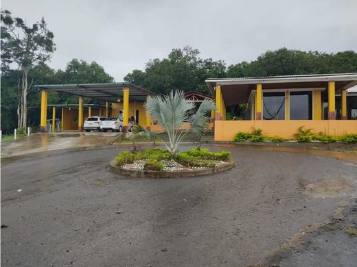Rustykalny lub Wiejski w Tapachula, Chiapas