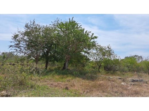 Grond in Río Lagartos, Yucatán