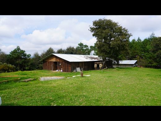 Rustico o casale a Huauchinango, Puebla