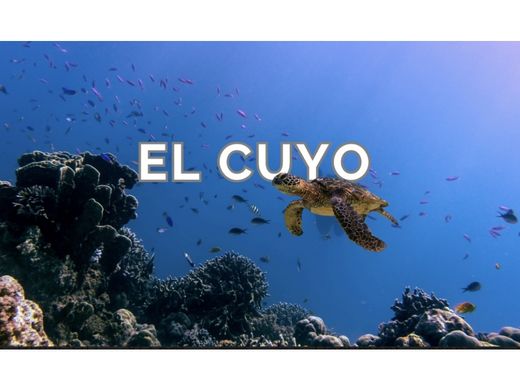 Участок, Cuyo Álvaro Obregón, Catazajá