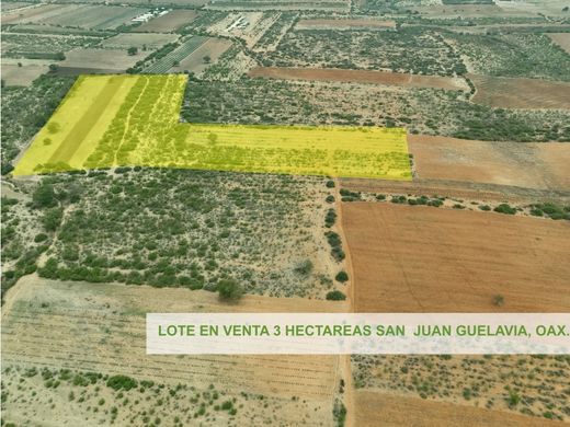 Terreno - Oaxaca de Juárez, Oaxaca