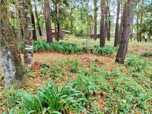 Teren w Valle de Bravo, Estado de México