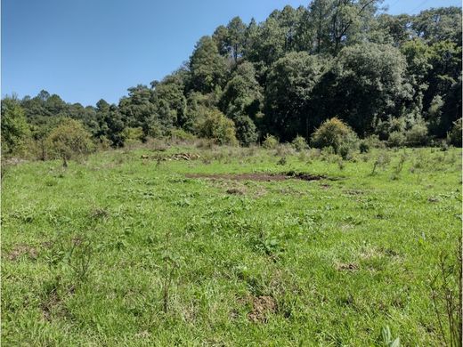 Terreno a Valle de Bravo, Messico (stato federato)