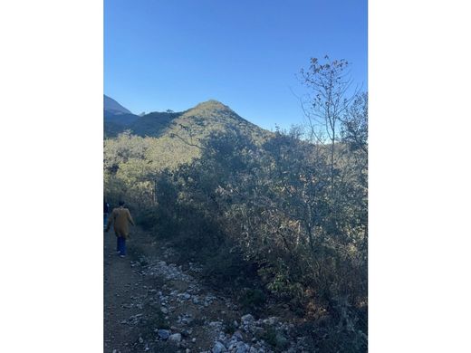 Участок, Монтеррей, Monterrey