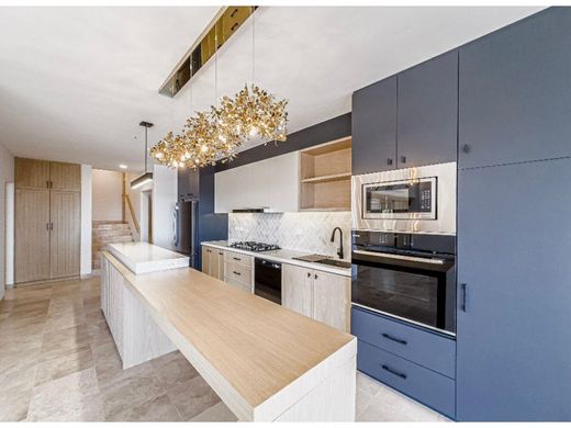 Cabo San Lucas, Los Cabosの高級住宅