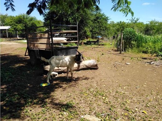 전원/농가 / Hopelchén, 캄페체 주