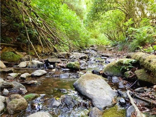 Участок, Валье-де-Браво, Valle de Bravo