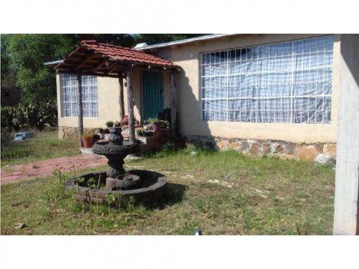 Land in Huasca de Ocampo, Hidalgo