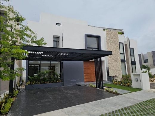 Colonia Benito Juárez, Villa de Tezontepecの高級住宅