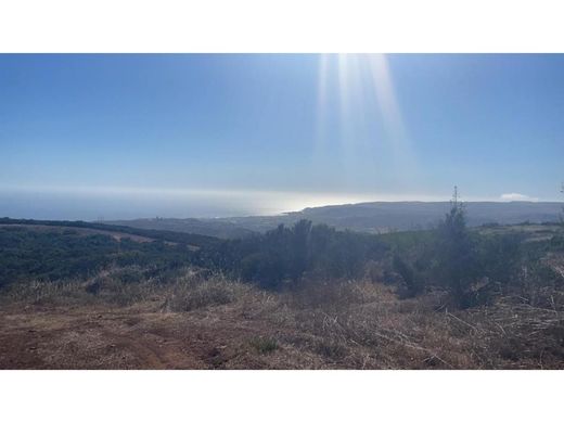 Ensenada, Estado de Baja Californiaの土地