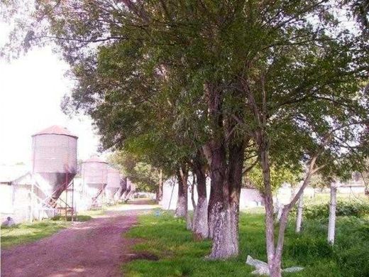 Terreno a Teoloyucan, Messico (stato federato)