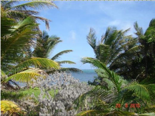 Land in Xcalak, Othón P. Blanco