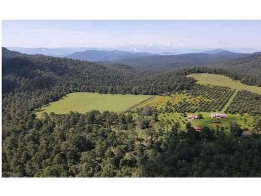 Cortijo o casa de campo en Concepción de Buenos Aires, Estado de Jalisco