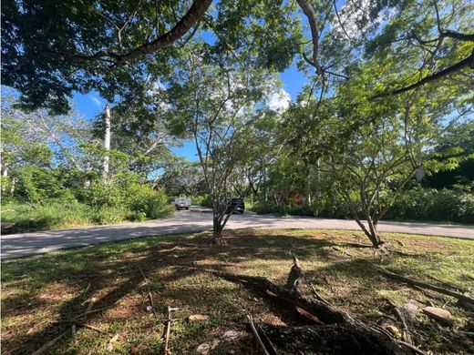 أرض ﻓﻲ Mérida, Estado de Yucatán