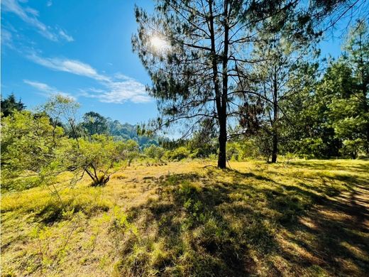 ‏בתים כפריים או חוות ב  Valle de Bravo, Estado de México