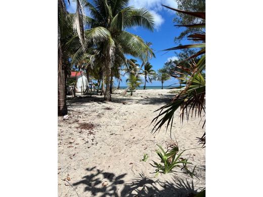 토지 / Mahahual, Othón P. Blanco