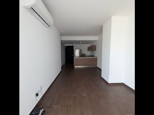 Apartment in Monterrey, Nuevo León