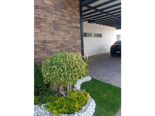 Luxury home in Celaya, Guanajuato
