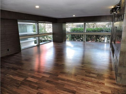 Miguel Hidalgo, Ciudad de Méxicoのアパートメント