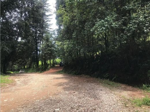 Grundstück in Valle de Bravo, México (Bundesstaat)