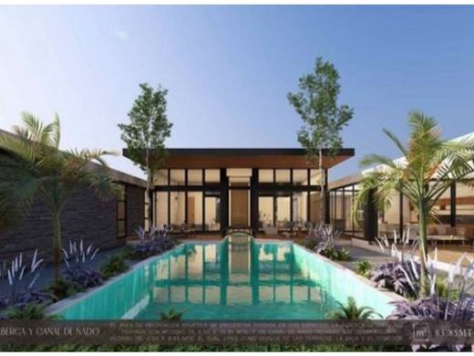 호화 저택 / Mérida, Estado de Yucatán