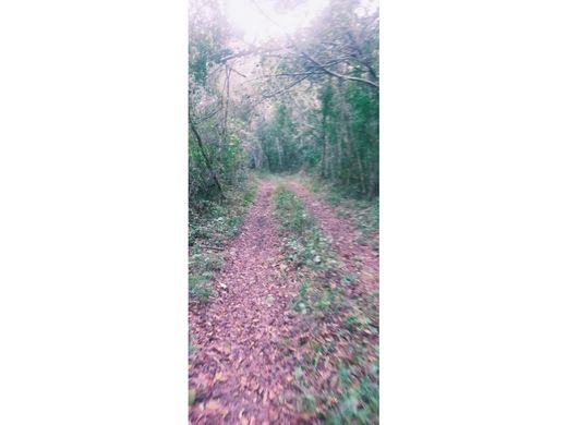 أرض ﻓﻲ Tekát, Mocochá