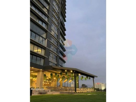 펜트하우스 / Tijuana, Estado de Baja California