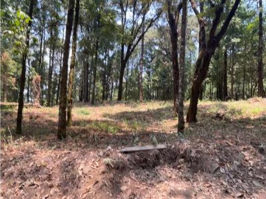 토지 / Valle de Bravo, Estado de México