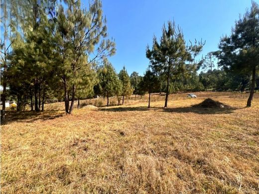 Land in Valle de Bravo, Estado de México