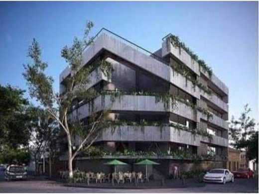 Apartment in Colonia Benito Juárez, Villa de Tezontepec