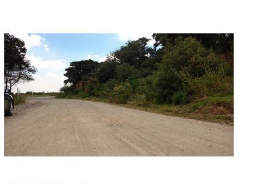 Land in Jilotzingo, Hueypoxtla