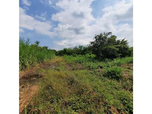 Boerderij in Tuxpan, Michoacán de Ocampo